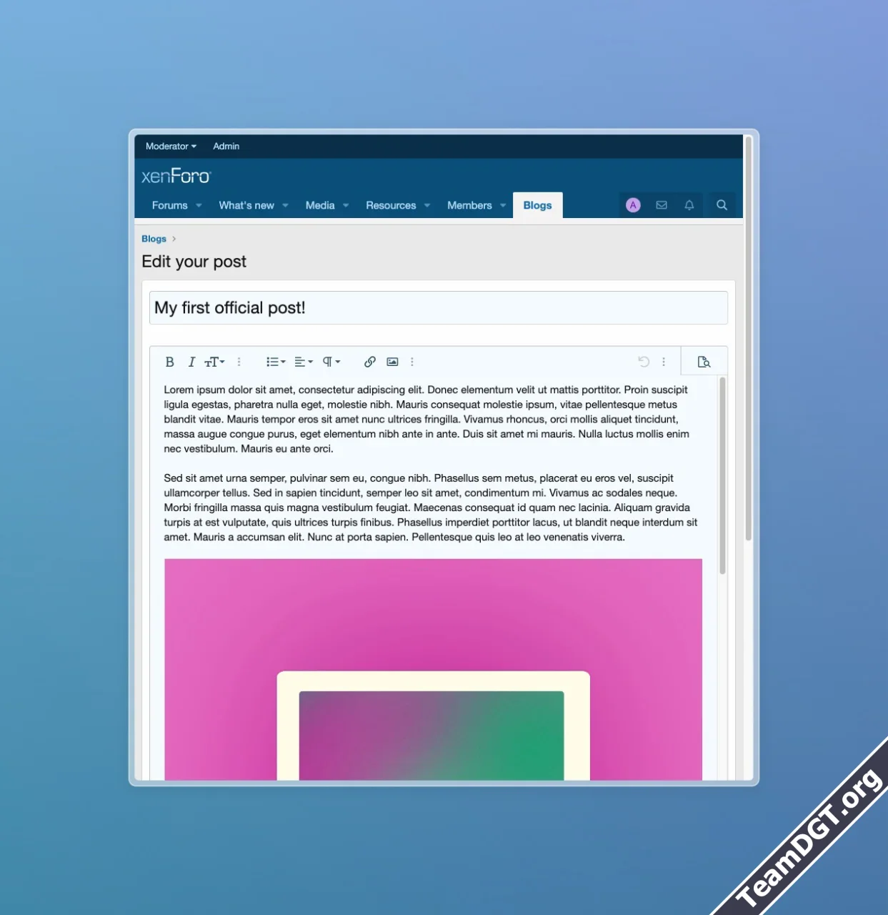 5.webp