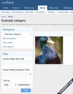 Filter Media Fields-1.webp